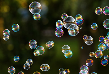 Image showing Soap bubbles