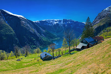 Image showing Kjeasen farm with view on Eidfjord