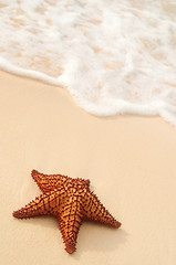 Image showing Starfish and ocean wave