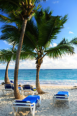 Image showing Sandy beach of tropical resort