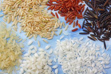 Image showing Variety of rice grains over painted textile background