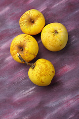 Image showing Four yellow organic apples from semi-wild cultivation