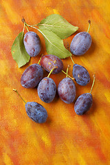 Image showing Damson plum (damascene) fruits over painted textile background