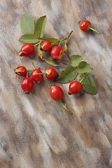 Image showing Wild rose fruits over painted textile background