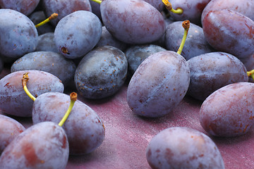 Image showing Damson plum (damascene) fruits