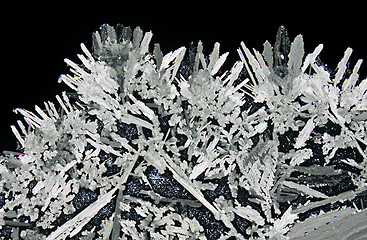 Image showing Microscopic view of potassium nitrate crystals in polarized ligh