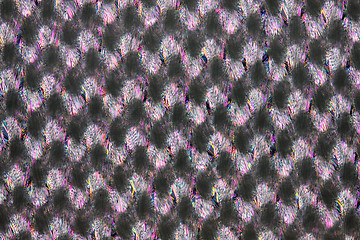 Image showing Nylon cloth in polarized light