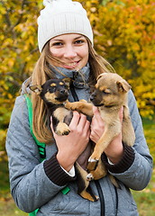 Image showing  Girl with puppies