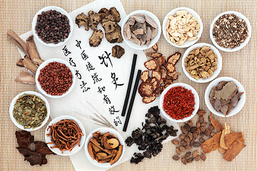 Image showing Acupuncture Chinese Medicine