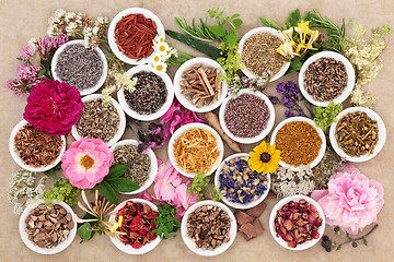 Image showing Herbs and Flowers for Healing