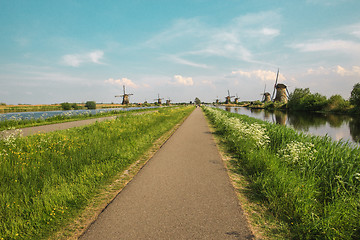 Image showing Traditional Dutch windmills with green grass in the foreground, The Netherlands