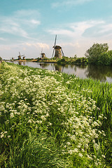 Image showing Traditional Dutch windmills with green grass in the foreground, The Netherlands