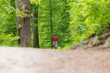 Image showing Cyclist Riding Bycicle on Forest Trail.