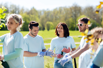 Image showing group of volunteers planting tree in park