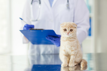 Image showing close up of vet with clipboard and cat at clinic