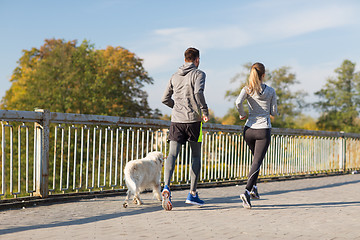 Image showing couple with dog running outdoors