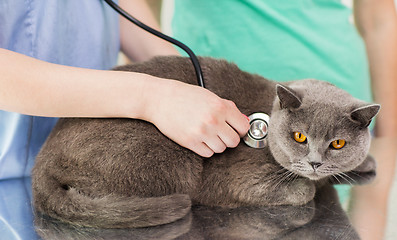 Image showing close up of vet with stethoscope and cat at clinic