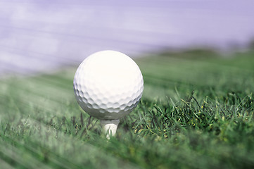 Image showing Golf ball in tall green grass