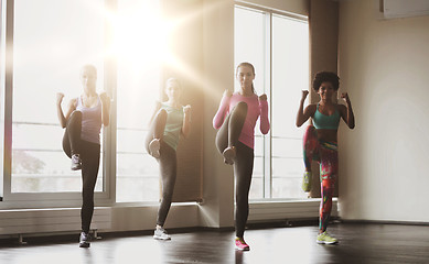 Image showing group of women working out in gym