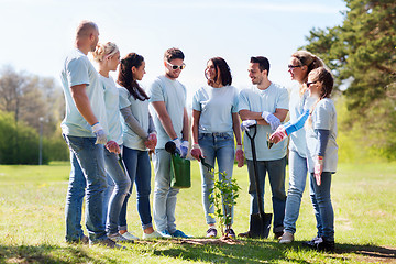 Image showing group of volunteers planting tree in park