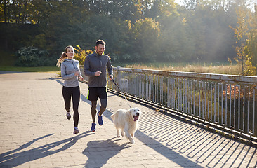 Image showing happy couple with dog running outdoors