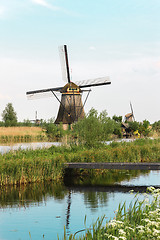 Image showing Traditional Dutch windmills with green grass in the foreground, The Netherlands