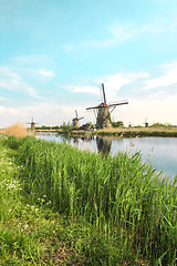 Image showing Traditional Dutch windmills with green grass in the foreground, The Netherlands