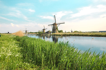 Image showing Traditional Dutch windmills with green grass in the foreground, The Netherlands