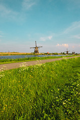 Image showing Traditional Dutch windmills with green grass in the foreground, The Netherlands