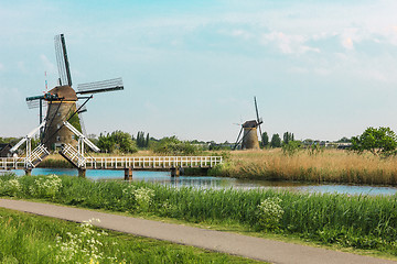 Image showing Traditional Dutch windmills with green grass in the foreground, The Netherlands