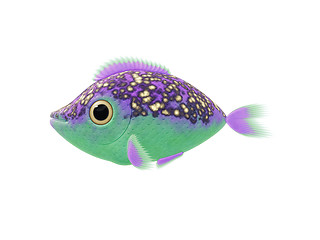 Image showing purple green fish