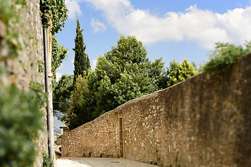 Image showing Plant public street in Spello