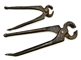 Image showing Pliers 