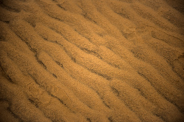 Image showing Sand Dunes