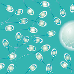 Image showing sperm medical