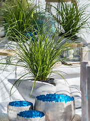 Image showing Flower pots