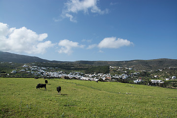 Image showing Lefkes, Paros, Greece