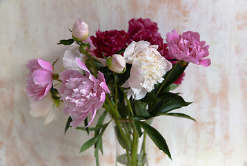 Image showing Bouquet of beautiful peonies