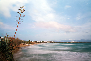 Image showing Golden Beach, Paros, Greece