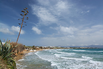 Image showing Golden Beach, Paros, Greece