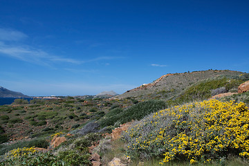 Image showing Coast of Attica, Greece