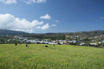 Image showing Lefkes, Paros, Greece