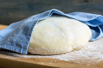 Image showing Dough proofing on a linen napkin.