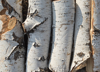 Image showing pile of firewood