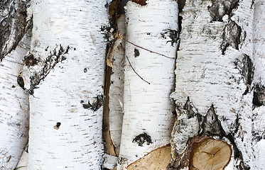 Image showing pile of firewood