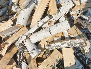 Image showing pile of firewood