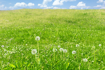 Image showing beautiful summer landscape