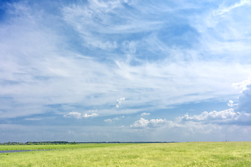 Image showing green field background