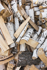 Image showing pile of firewood