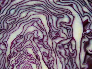 Image showing Purple and white colored cabbage